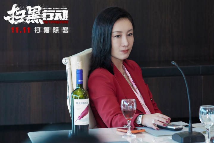 扫除金融犯罪的黑恶势力，周一围秦海璐张智霖主演的《扫黑行动》“双11”上映