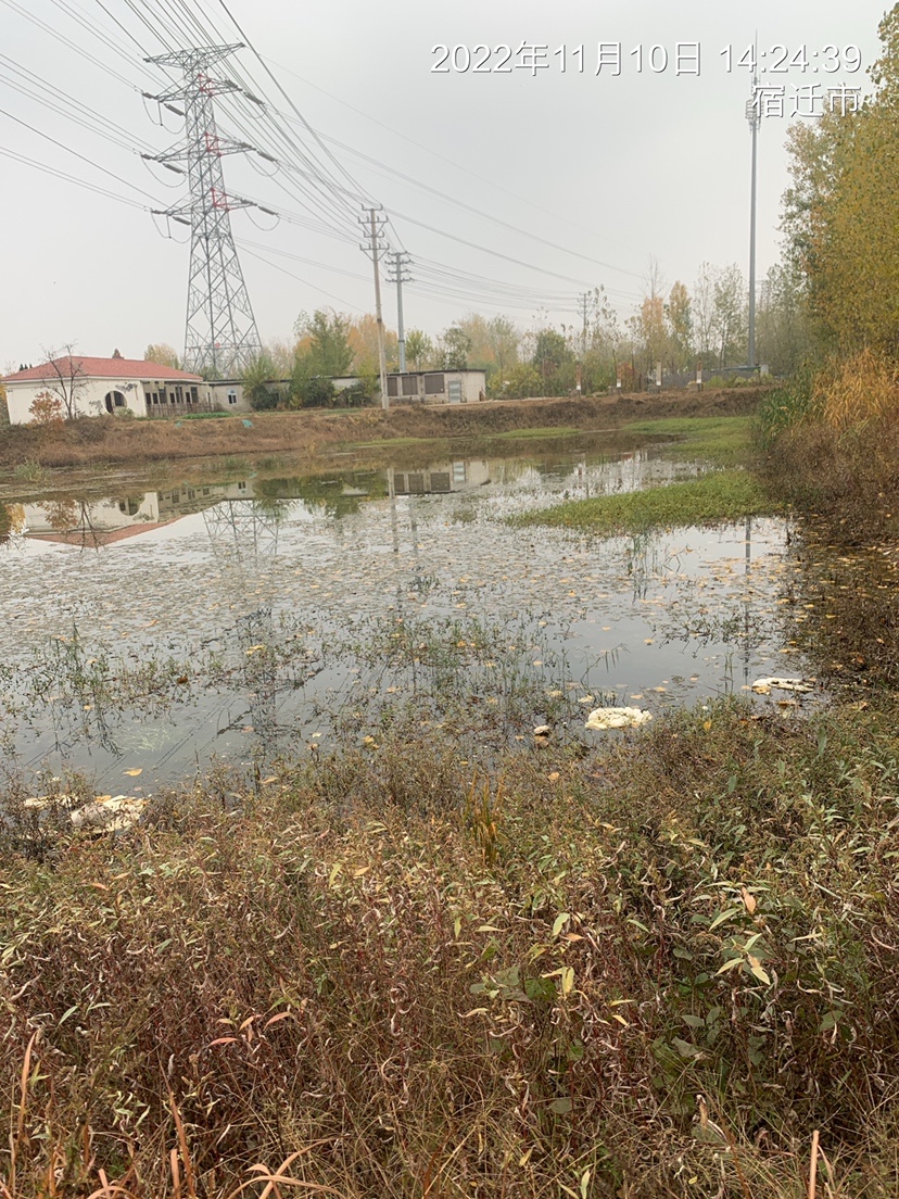 结交天下钓友分享钓鱼人生,跟朋友一起钓鱼技巧