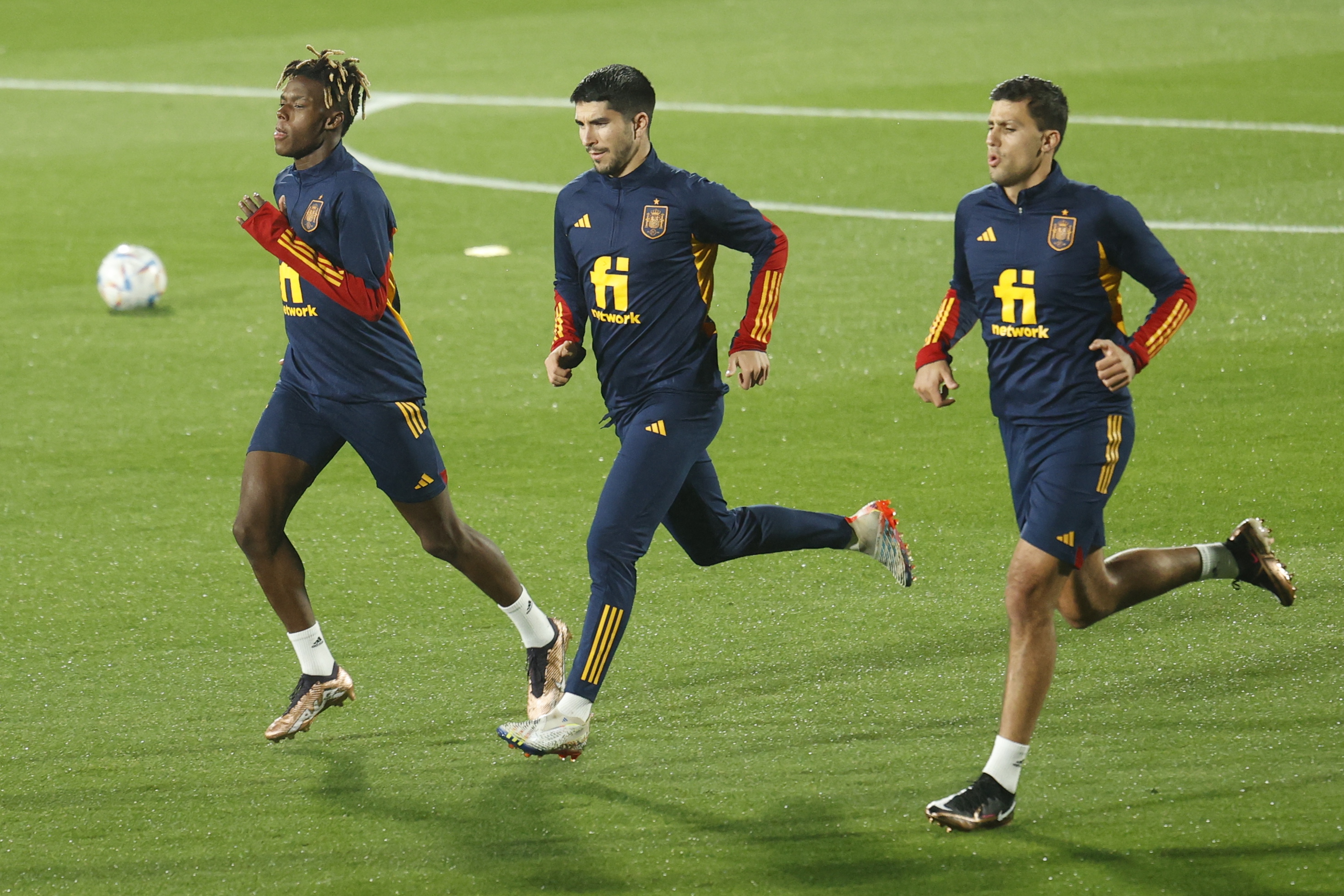 追光|世界杯攻略·E组——全新球场，谁能从“死亡之组”突围？