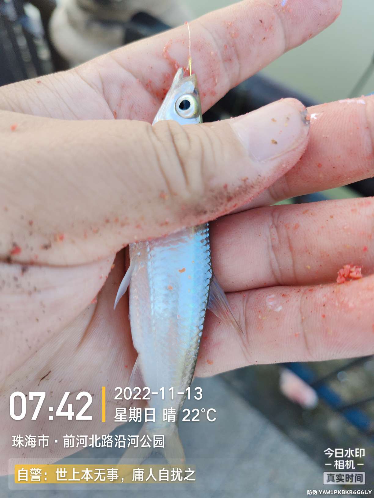 刷新了对钓鱼的认知,钓鱼的十个思维方法