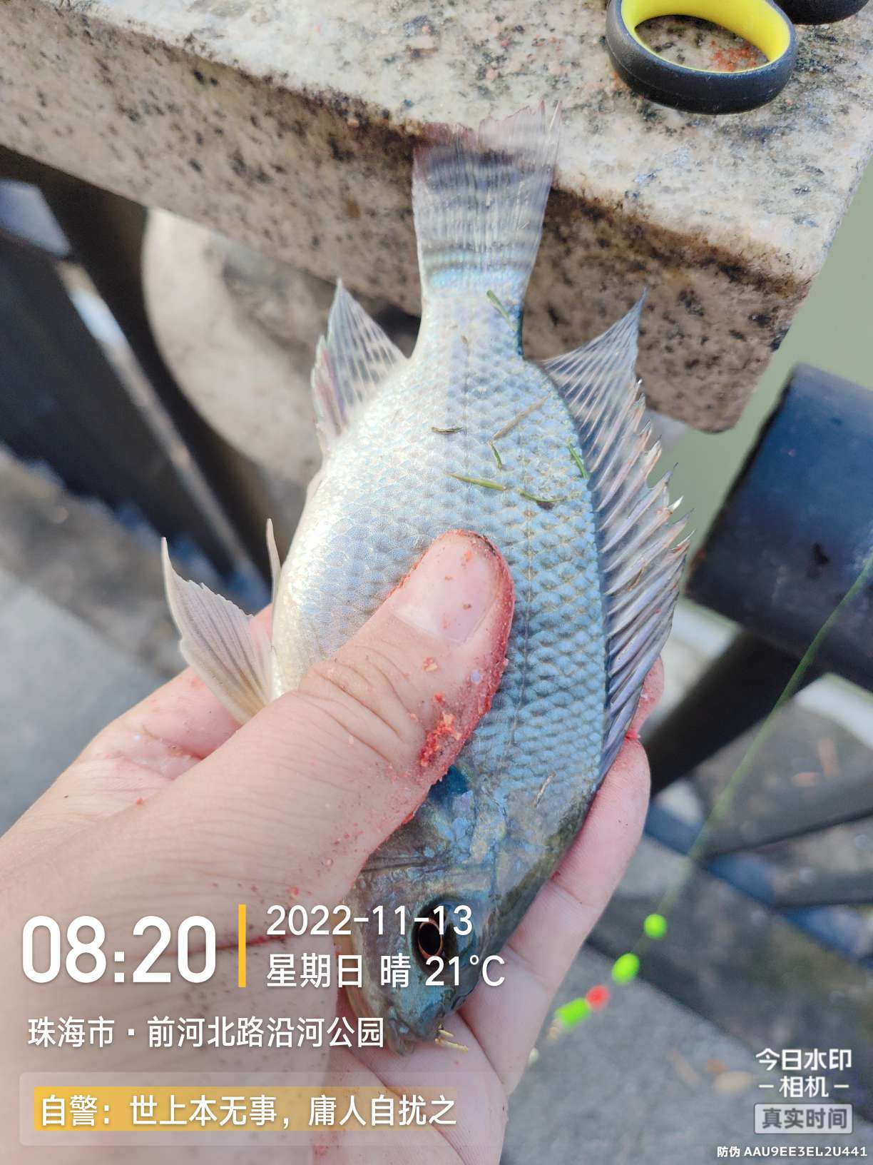 刷新了对钓鱼的认知,钓鱼的十个思维方法