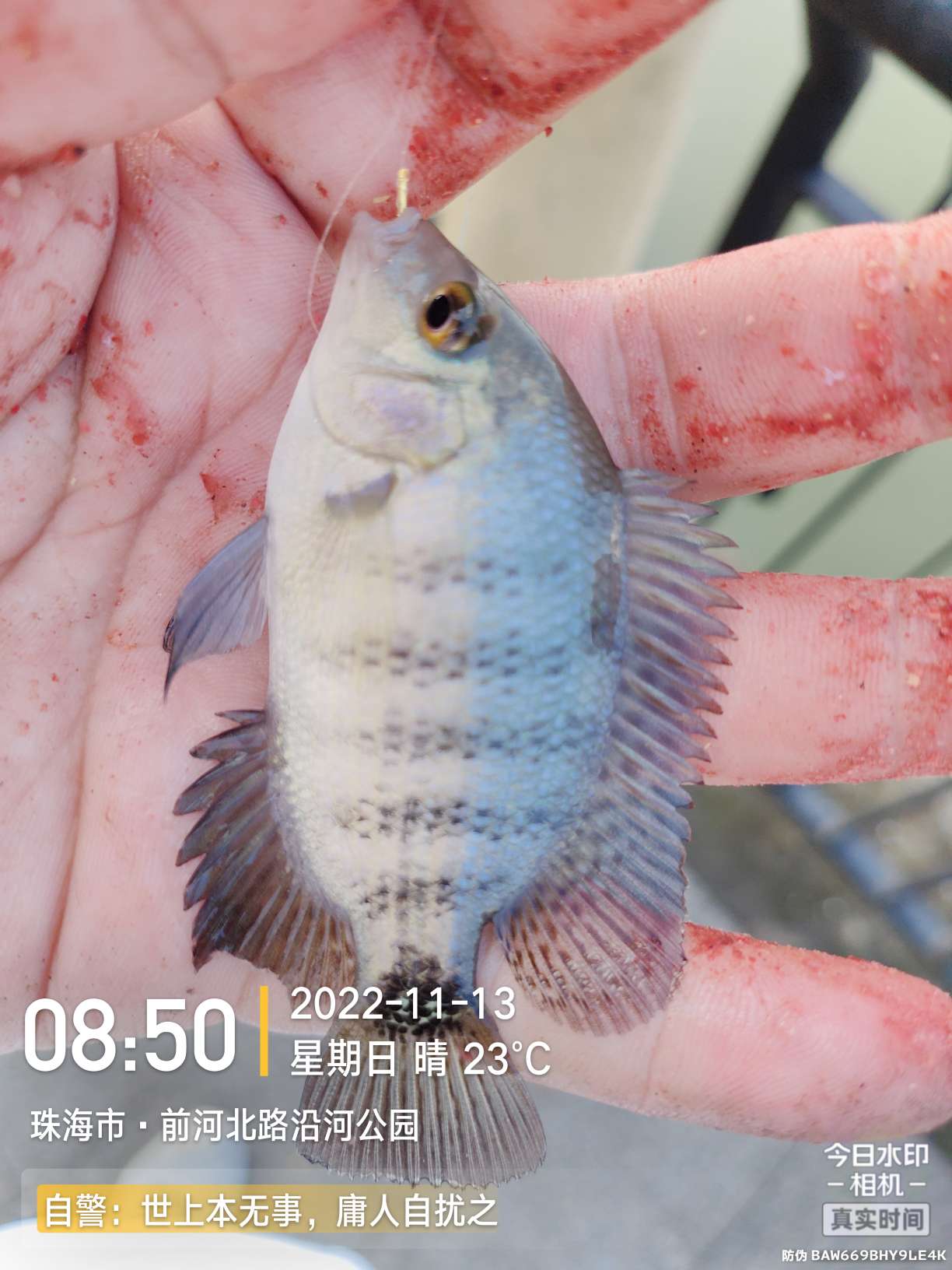 刷新了对钓鱼的认知,钓鱼的十个思维方法