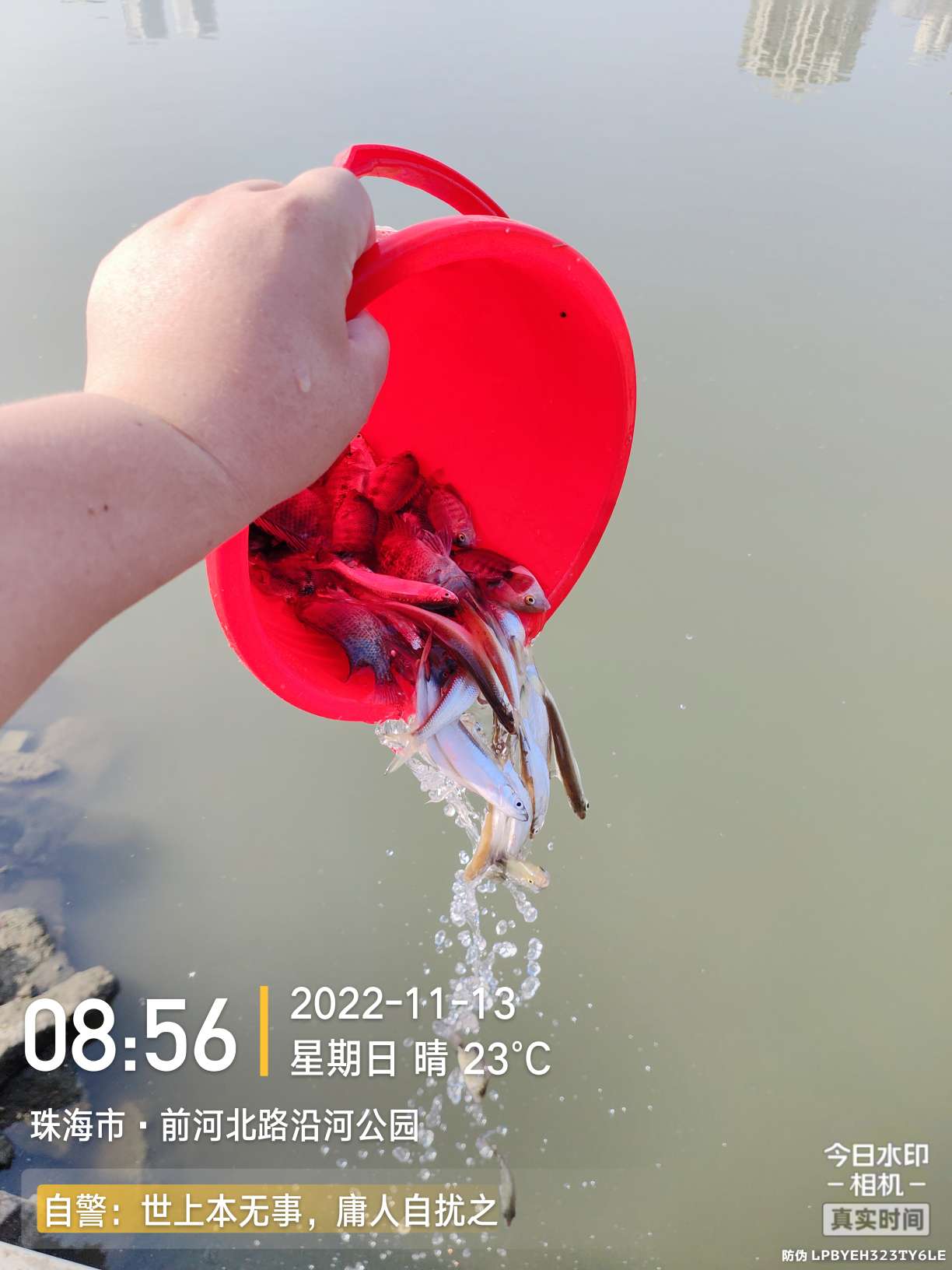 刷新了对钓鱼的认知,钓鱼的十个思维方法