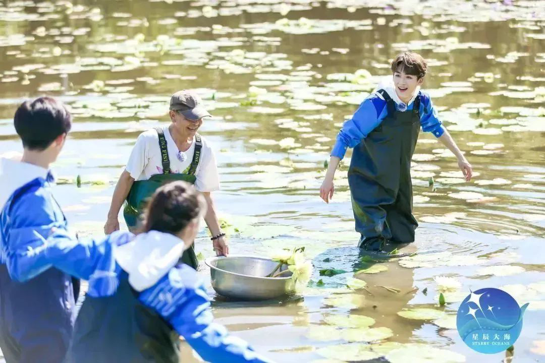 中国电影金鸡奖星辰大海,星辰大海电视连续剧