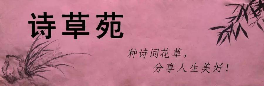 清明习俗和传说,清明传说和习俗