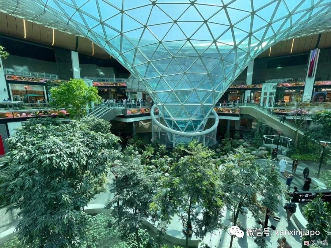 卡塔尔和新加坡哪个离中国最近,新加坡卡塔尔世界杯