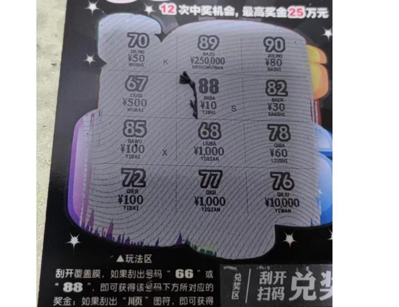 彩票站年轻人,年轻人的彩票站