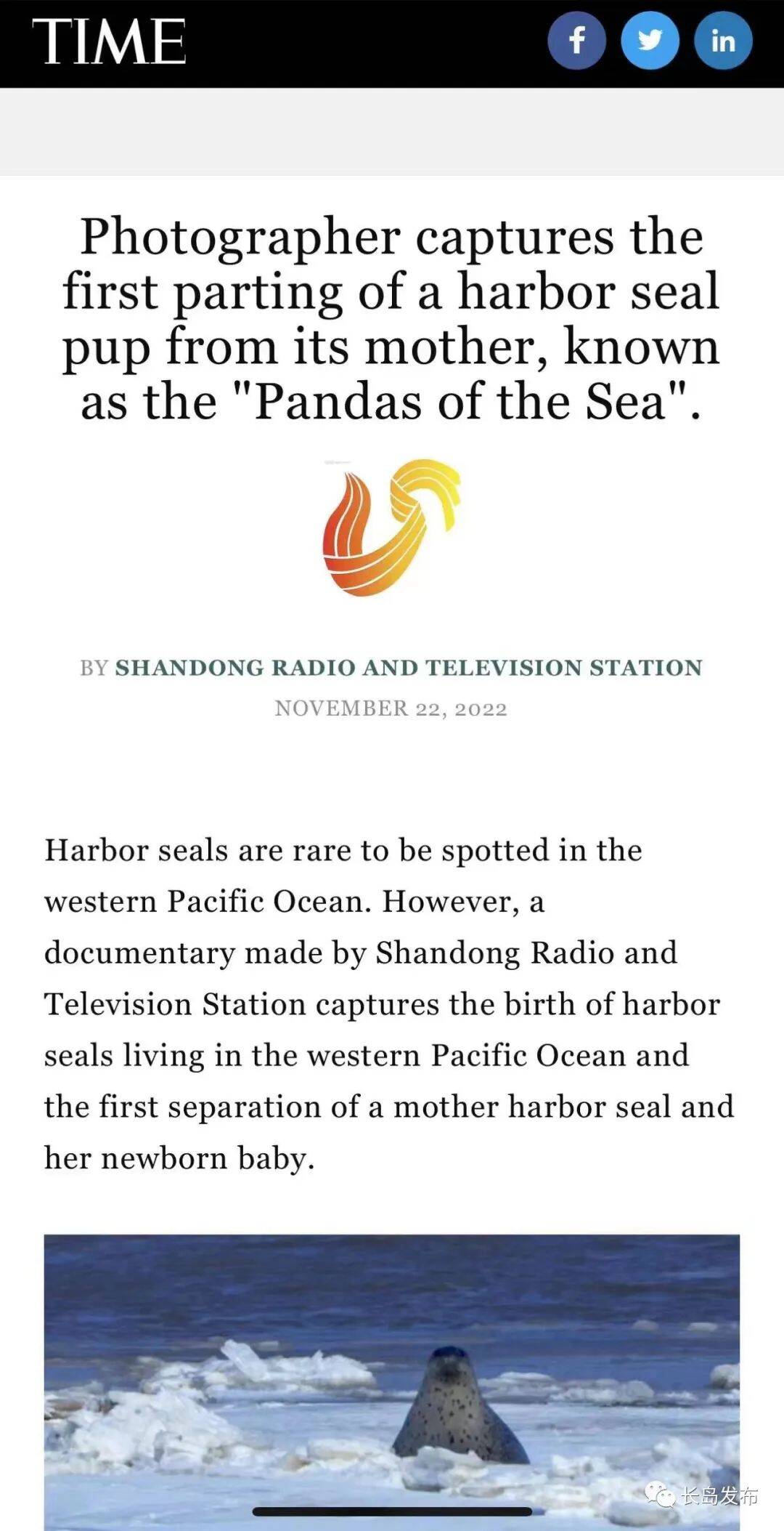 向世界讲好山东故事!这些“山东出品”亮相国际舞台