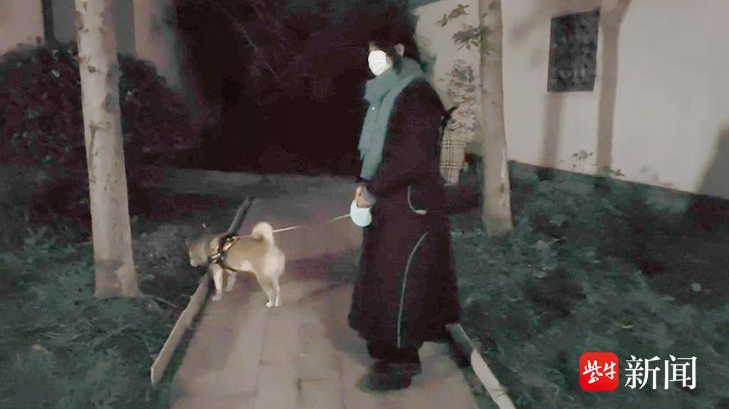 95后姑娘当遛狗师意外走红,95后姑娘替人遛狗月创收超千元