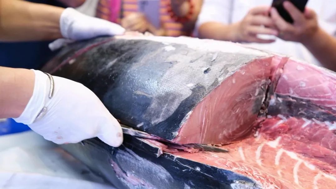 杩滄磱娴蜂骇鎹曟崬,杩滄磱娓斾笟鑸归槦濞佹捣