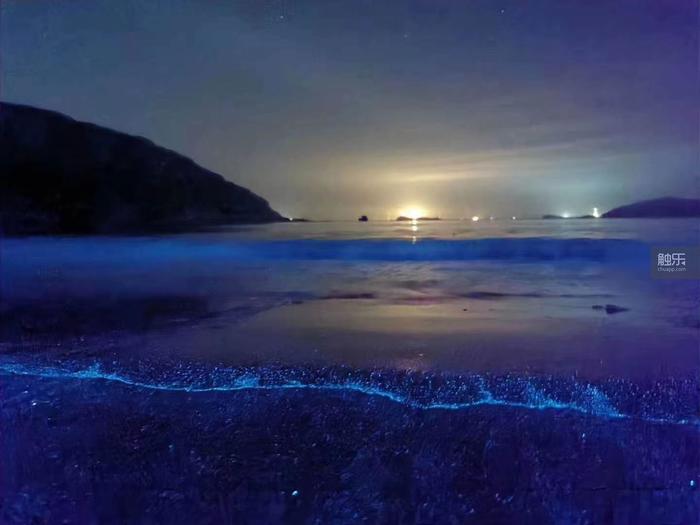 魔兽工作室搬砖,魔兽工作室招人