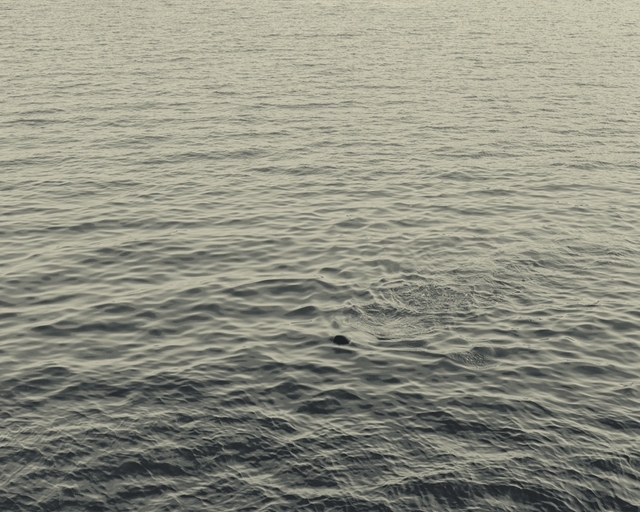 中国摄影十杰有谁,中国人像摄影十杰李杰