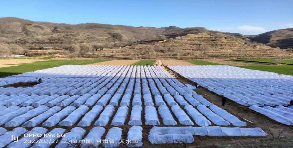 清水县杨李村,杨李村