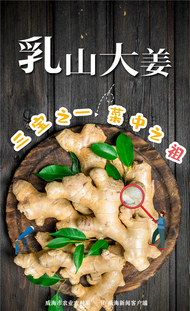 威海“姜”山如此多娇，引无数英雄竞折腰