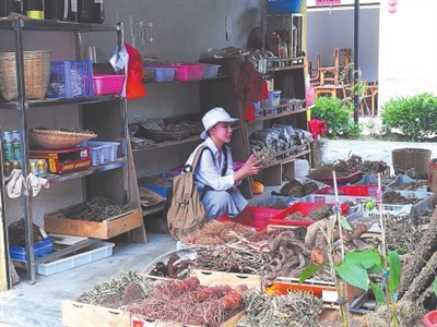 中国国际中医药论坛暨广东省第三届南药产业大会　旅游推动中医药文化传承