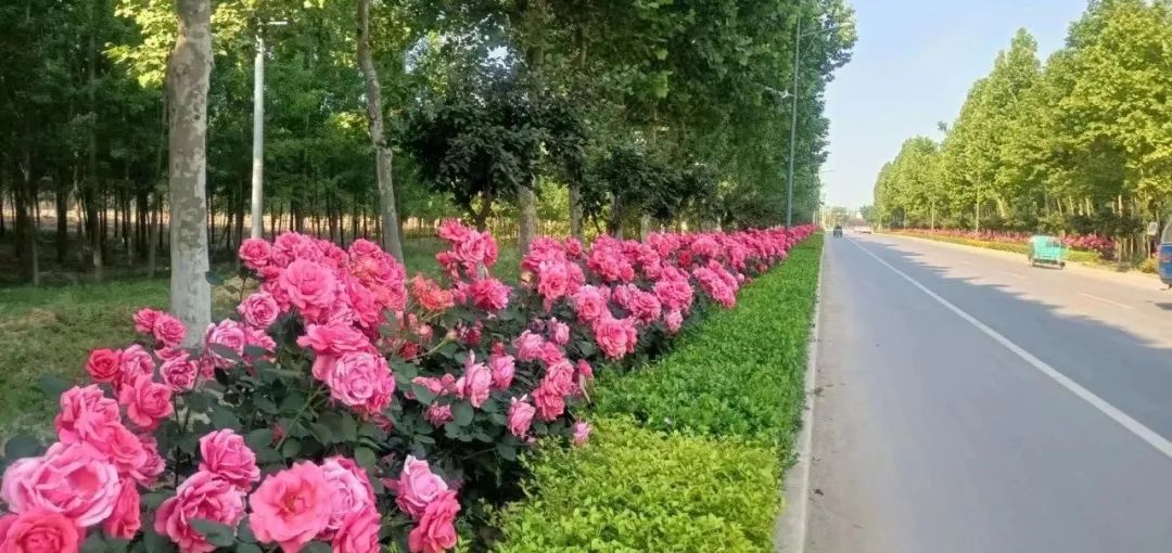 凝心聚力再发力,凝心聚力推进镇域经济高质量发展