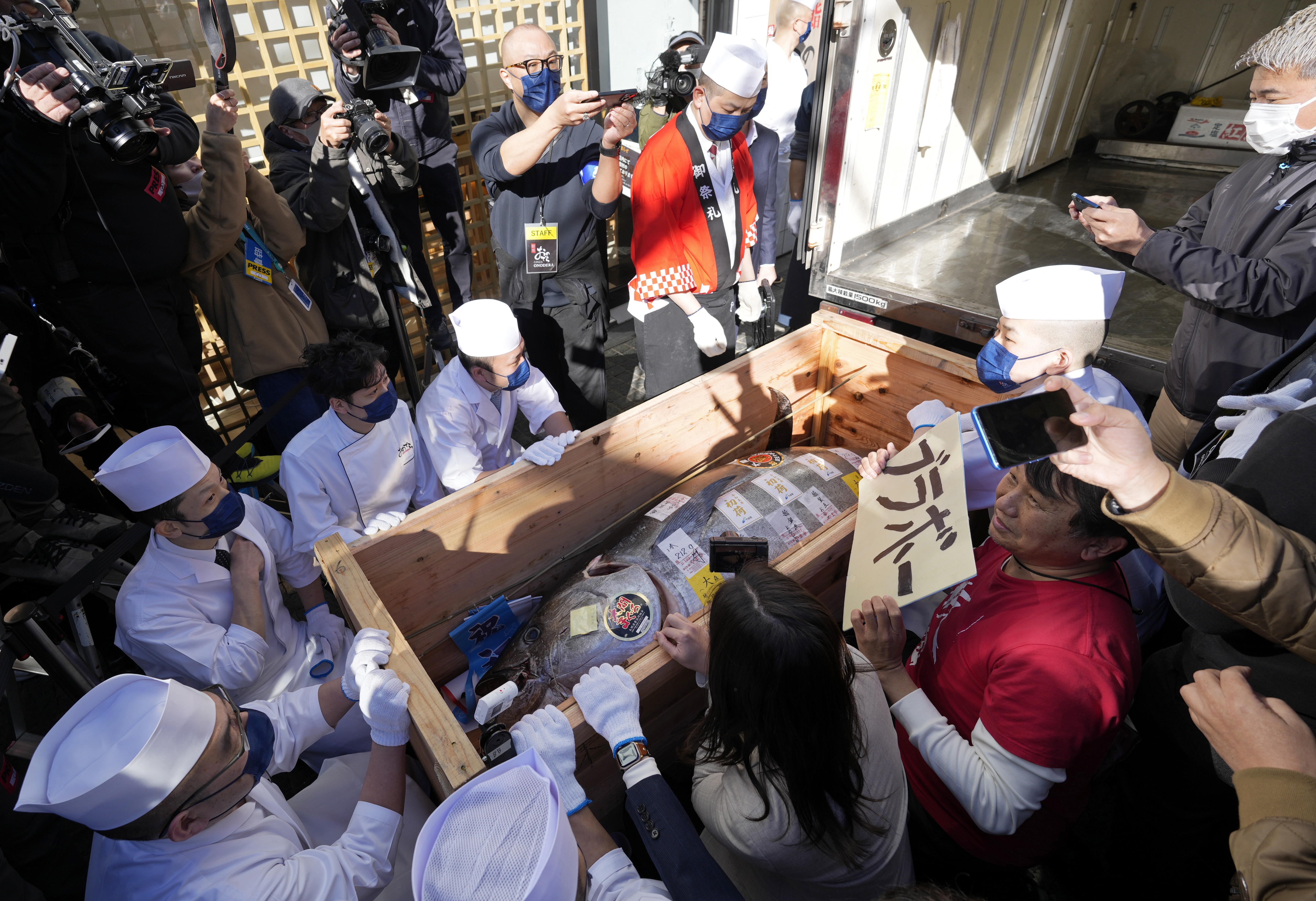 外代二线东京,国外大型金枪鱼