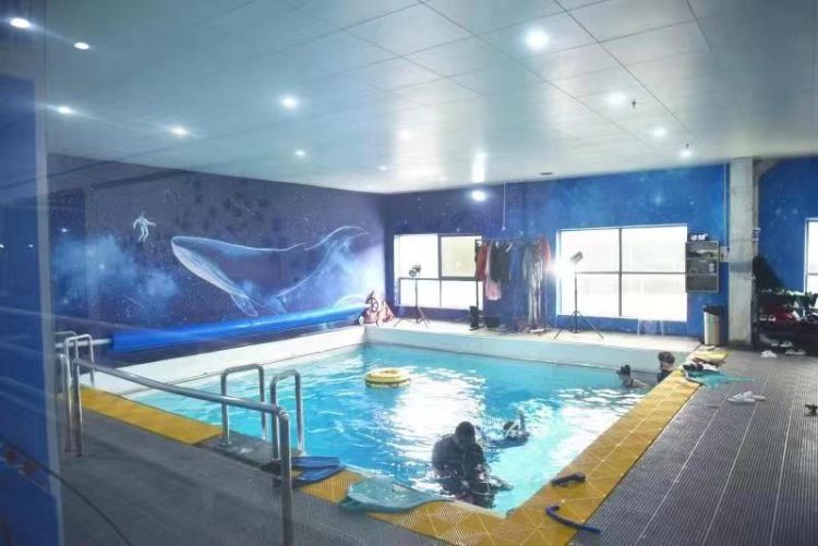 深圳南山加快培育产业发展新动能,南山高质量发展