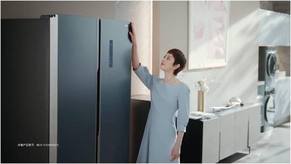 澳柯玛双开门冰箱推荐,澳柯玛钻石银新款冰箱