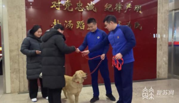 小金毛走丢找警察,小金毛闯进消防队