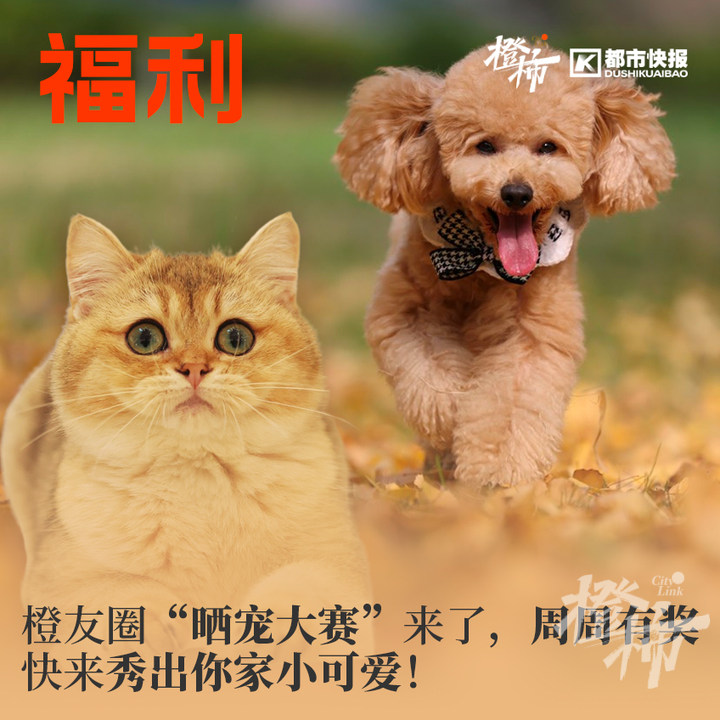 文创礼物2024,文创礼品福利品