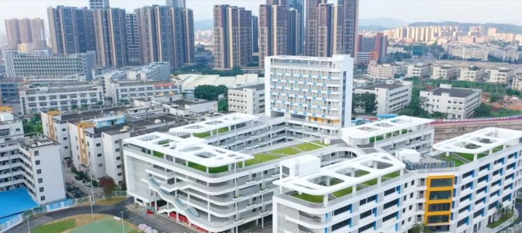 深圳市光明区中小学老师招聘,深圳市光明区教育局招聘