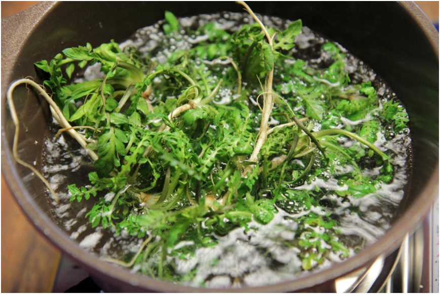 荠菜种植正确做法,怎么种荠菜的最简单方法