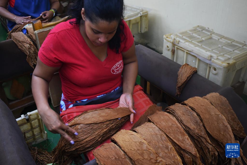 走进古巴雪茄文化,古巴雪茄纪录片