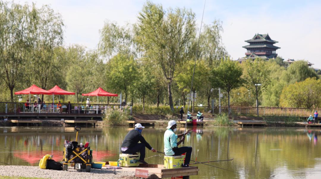 酷！来这座公园，“水陆空”都能玩儿