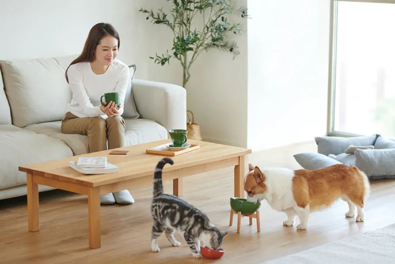 muji新品宠物,muji宠物居家服