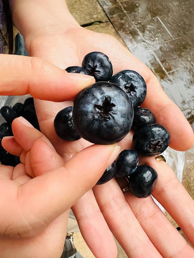 去四川5日游攻略,去云南和四川攻略