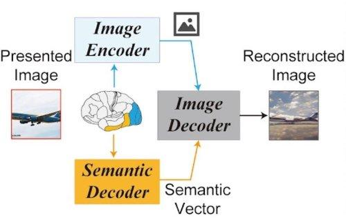 微软将gpt-4引入office可以用了吗,微软将gpt-4引入office对审计的影响