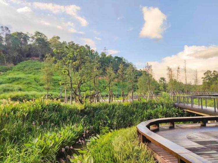 一起露营吧禾茂田园,一起露营吧广东话