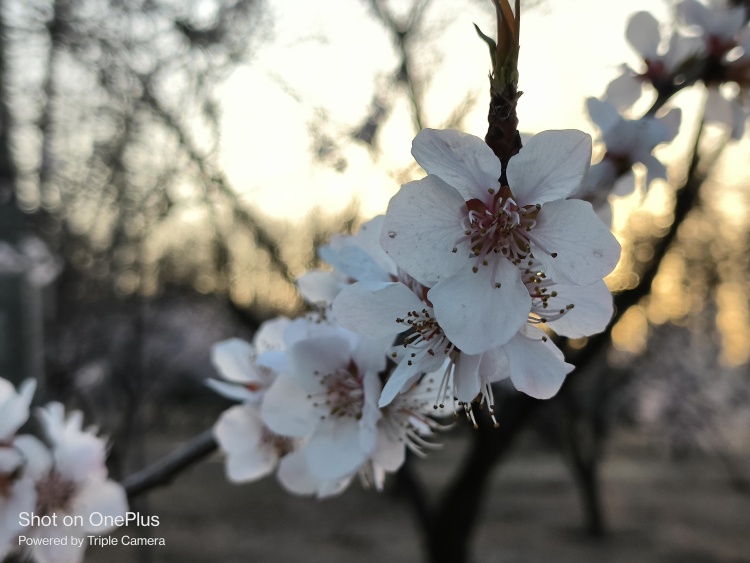 现在便宜的中端机 (国内中端机市场份额)