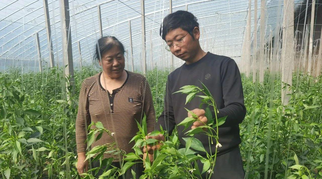 返乡创业谋发展助力脱贫富乡邻,返乡创业谋发展致富不忘众乡邻