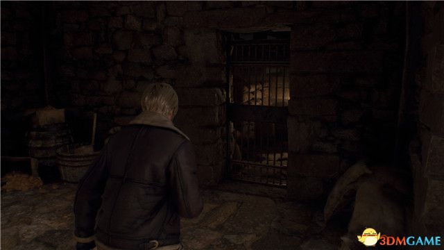 生化危机4重制版全收集攻略图文,生化危机4重制版全流程攻略