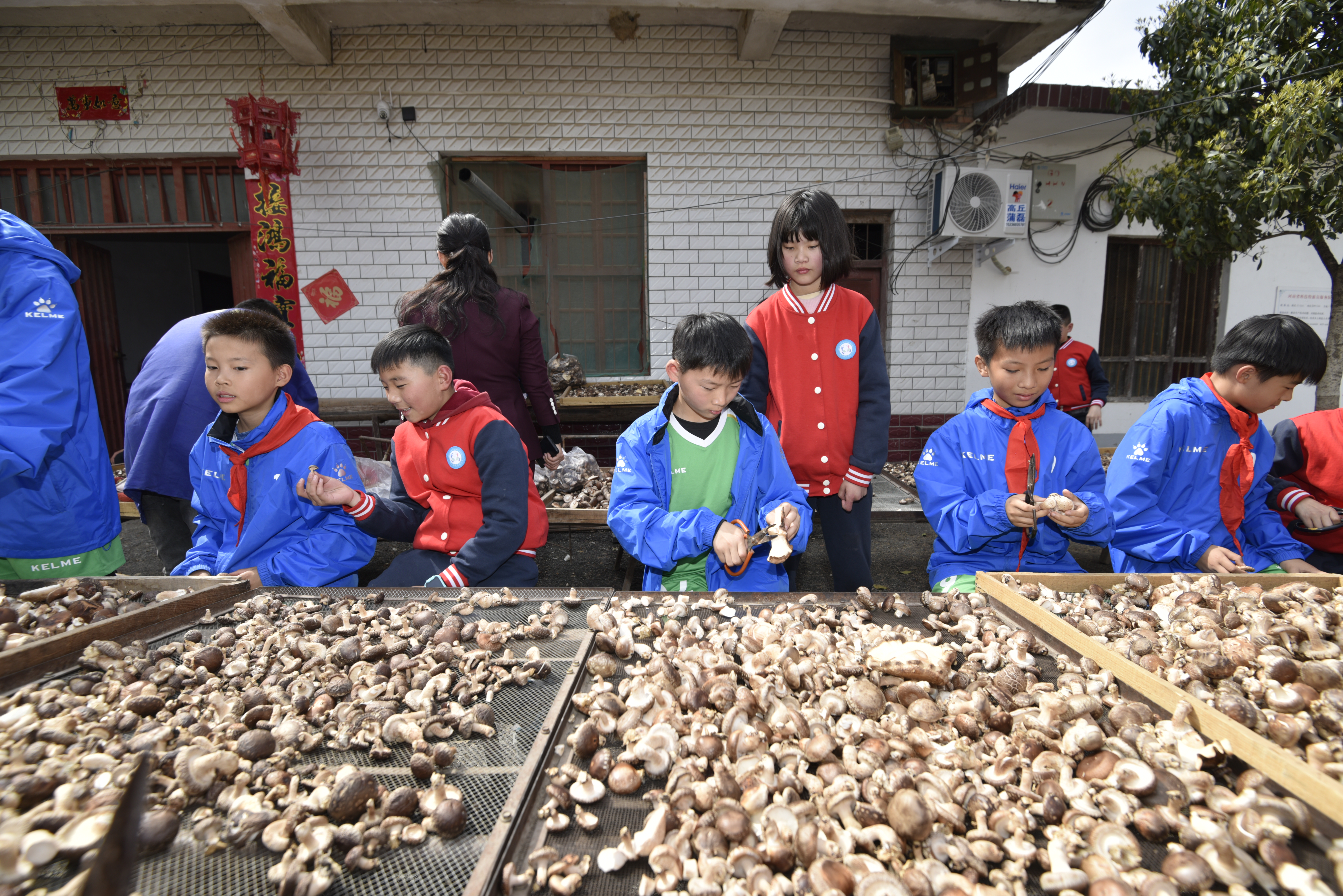 寻访小康路争做小先锋照片,寻访小康路争当小先锋小学生书信