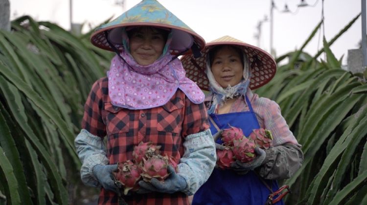 骞胯タ鐣柉鎵瑰彂鐩存壒,骞胯タ鐣柉鎵瑰彂搴楅摵