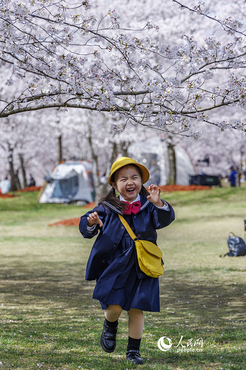 春天花“卉”开朵朵含情迎客来