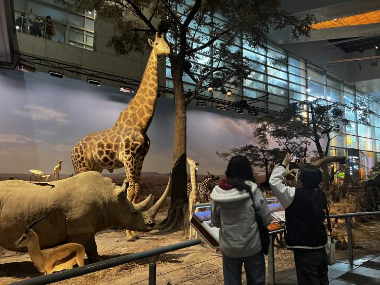 上海科技馆闭馆竟然有彩蛋!太羡慕最后一场电影的观众,有惊喜,值得永远珍藏的那种