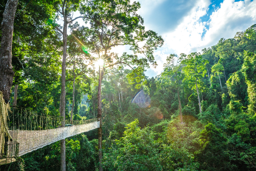 中老铁路国际货物列车,中老铁路跨境旅客列车