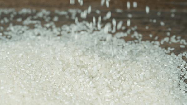 大米消费提示,大米品牌消费指南