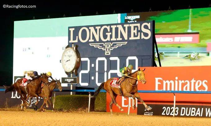 世界马匹最新排名,世界马数量排名