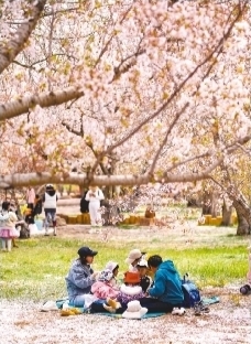 共赴山海之约共享发展红利——2023年大连市文化和旅游产业发展大会侧记