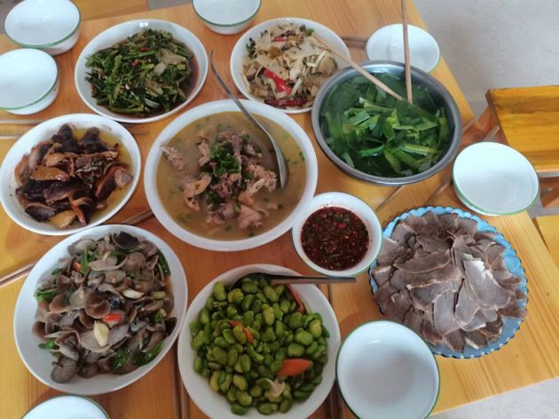 腾冲香菌菇种植,腾冲香蕈种植