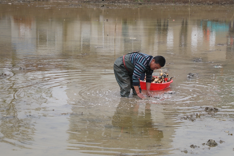 《破局乡村振兴》的金句,破题乡村振兴