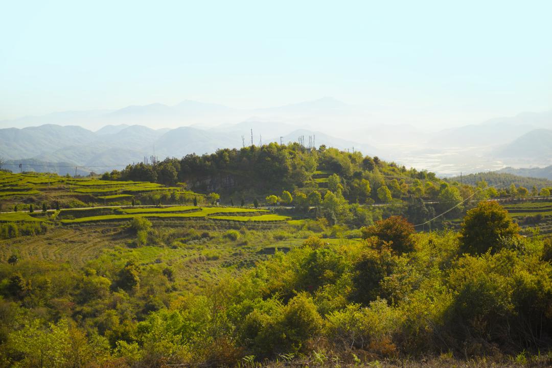 厦门国际银行福州分行:擦亮数智金融领先银行品牌赋能福建数字经济高质量发展