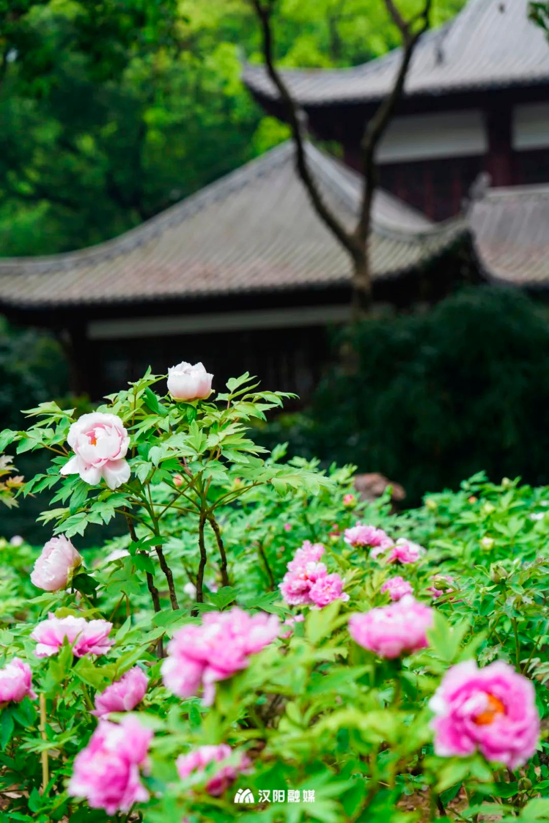 武汉旅游值得带的东西,武汉汉阳两日游最佳攻略