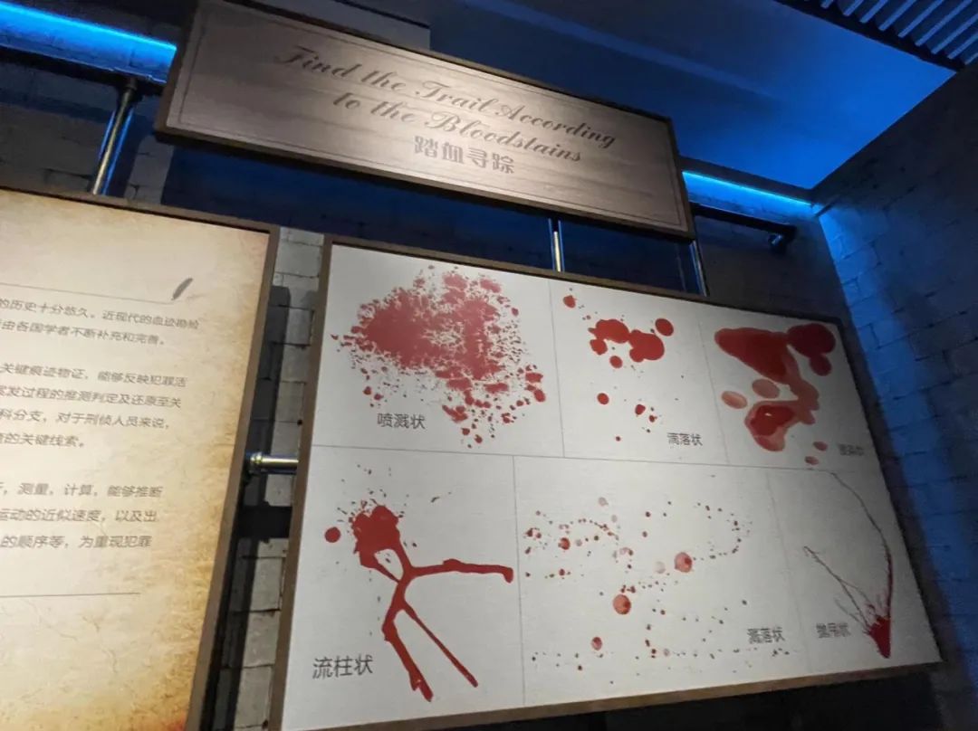 福尔摩斯一共探了多少案,福尔摩斯探案集为什么这么有名