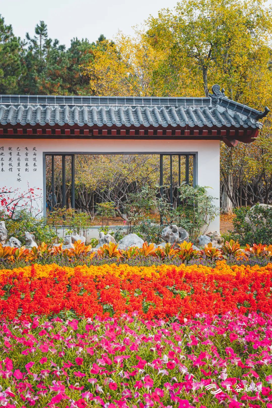 骑车打卡绿道,东湖绿道骑行享受闲暇时光